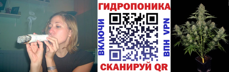 Канабис VHQ Дорогобуж